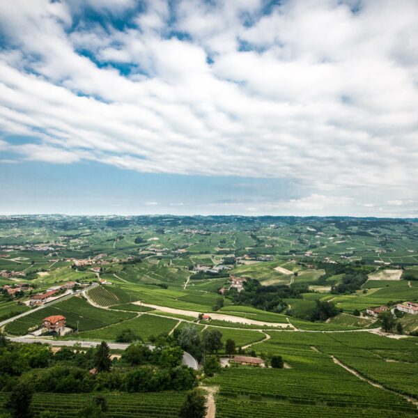 Cascina Bongiovanni Faletto Langhe Rosso - ISN: Italian Speciality for the Netherlands